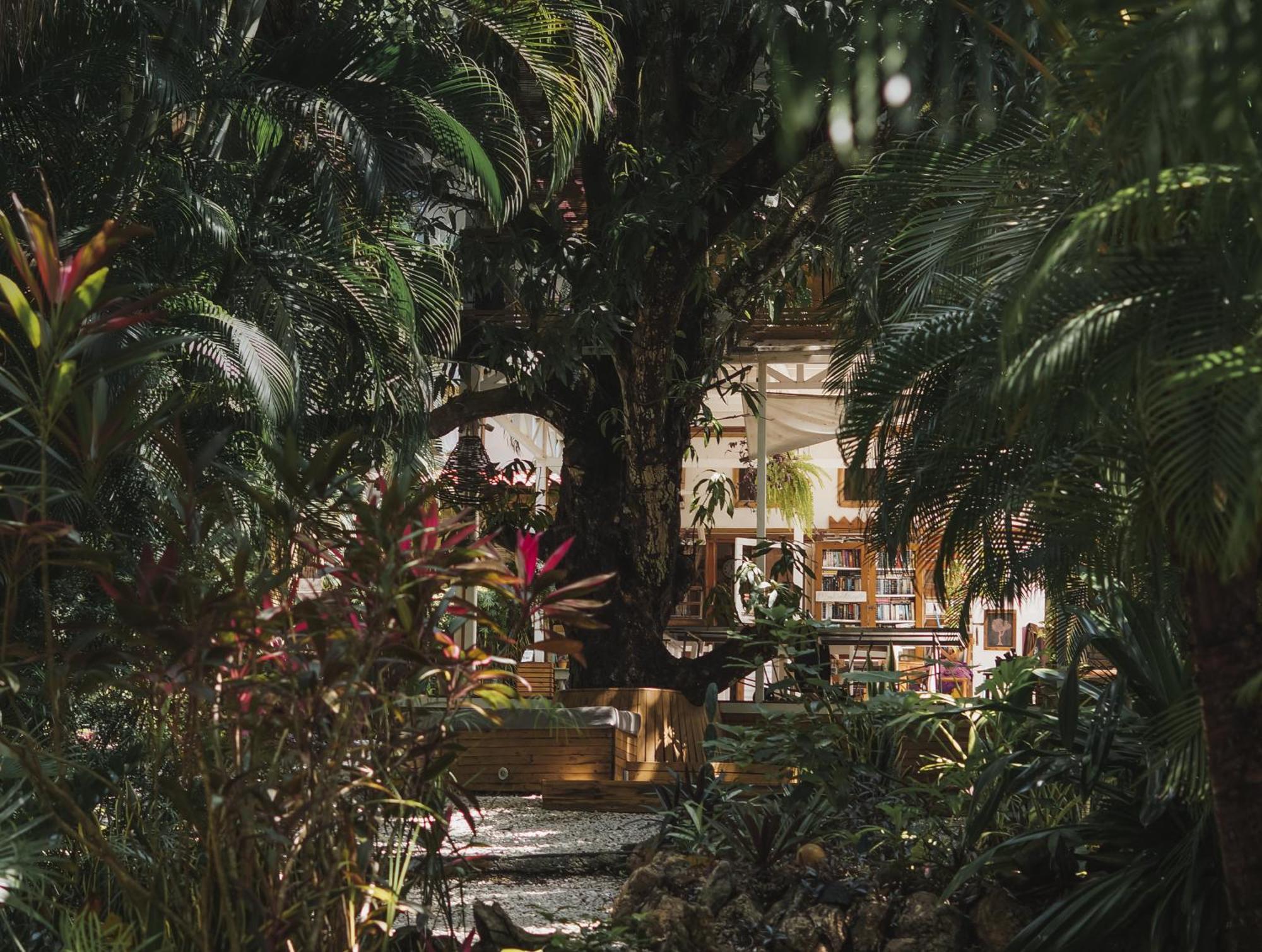Griss Lodge & Spa Playa Santa Teresa  Extérieur photo